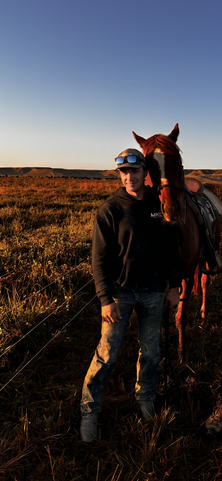 Thomas Chadwick — Founder, HerdStreet